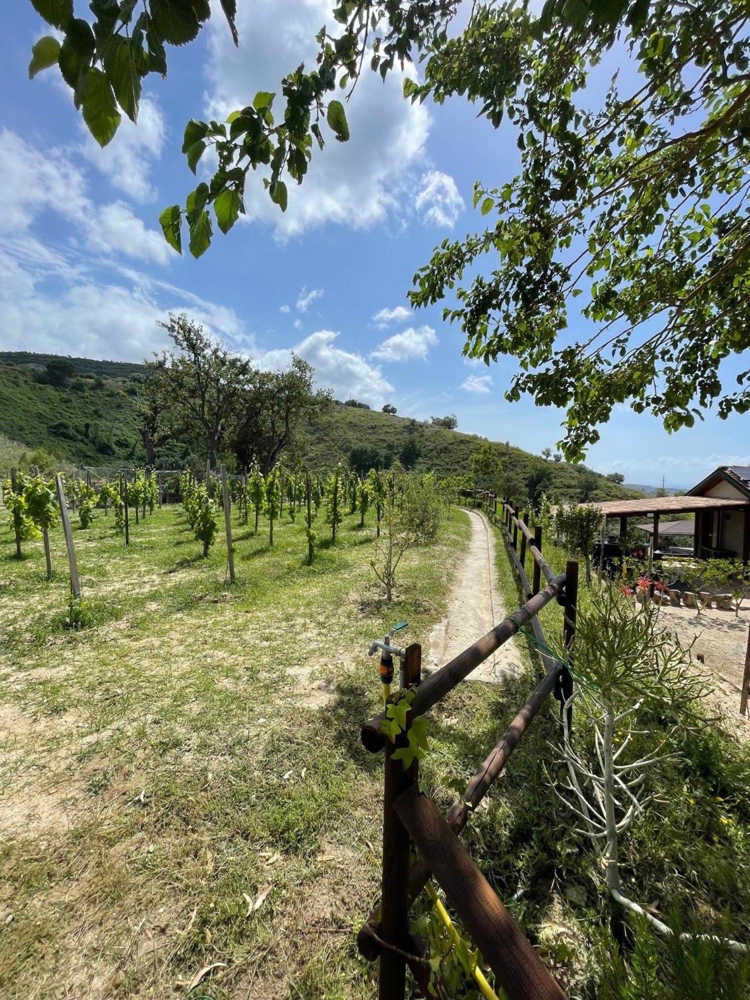 Casa Natura 40 Parghelia Exterior photo